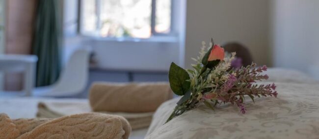 #apartmanizukicrisan (3)